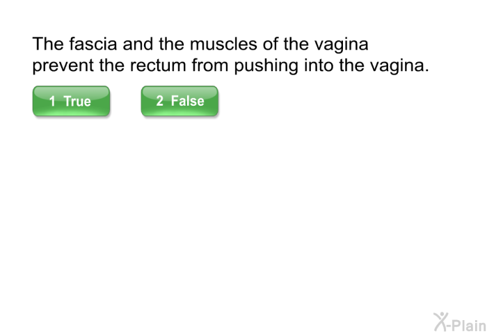 This fascia and the muscles of the vagina prevent the rectum from pushing into the vagina.