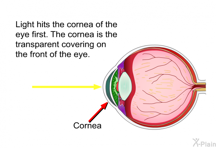 Light hits the cornea of the eye first. The cornea is the transparent covering on the front of the eye.