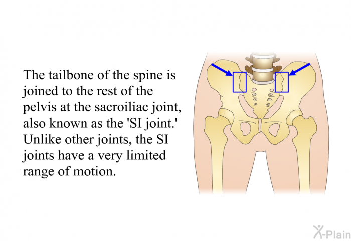 The tailbone of the spine is joined to the rest of the pelvis at the sacroiliac joint, also known as the  SI joint.' Unlike other joints, the SI joints have a very limited range of motion.