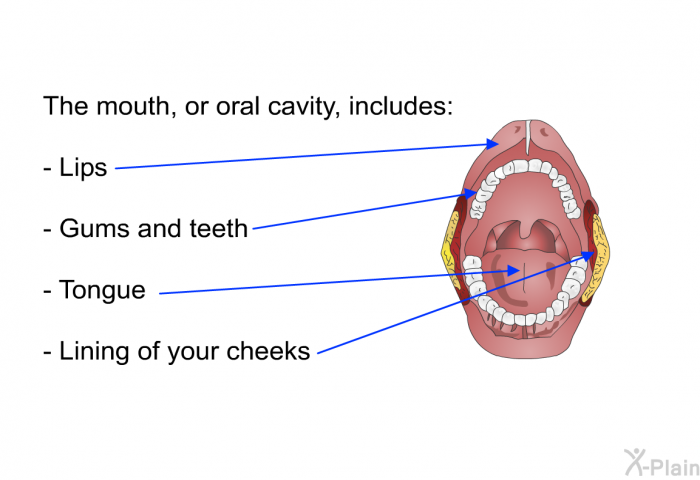 The mouth, or oral cavity, includes:  Lips Gums and teeth Tongue Lining of your cheeks
