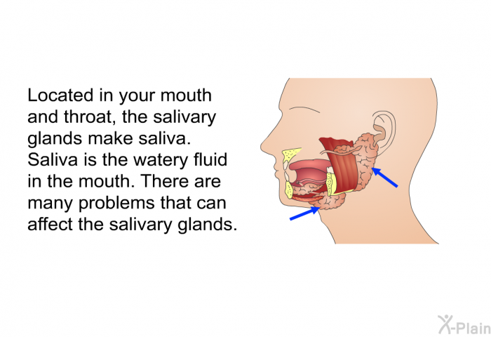 Located in your mouth and throat, the salivary glands make saliva. Saliva is the watery fluid in the mouth. There are many problems that can affect the salivary glands.