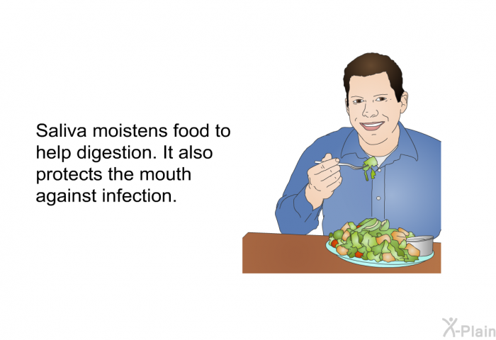 Saliva moistens food to help digestion. It also protects the mouth against infection.