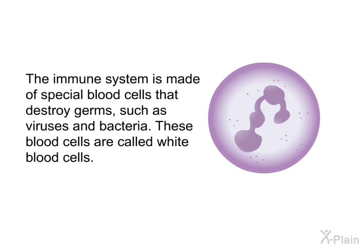 The immune system is made of special blood cells that destroy germs, such as viruses and bacteria. These blood cells are called white blood cells.