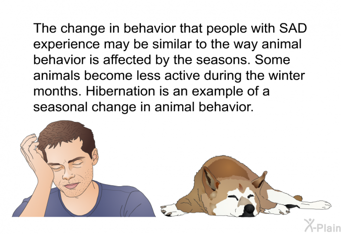 The change in behavior that people with SAD experience may be similar to the way animal behavior is affected by the seasons. Some animals become less active during the winter months. Hibernation is an example of a seasonal change in animal behavior.