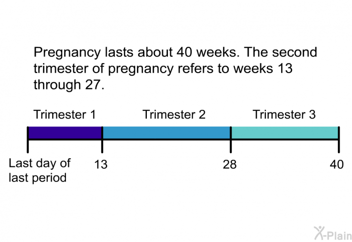 Pregnancy lasts about 40 weeks. The second trimester of pregnancy refers to weeks 13 through 27.