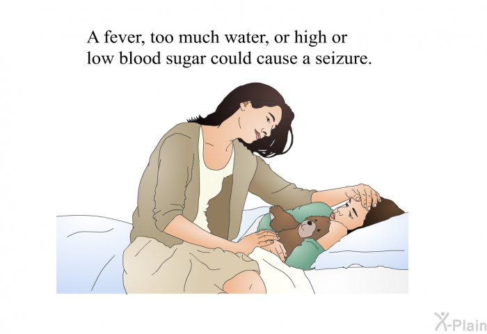 A fever, too much water, or high or low blood sugar could cause a seizure.