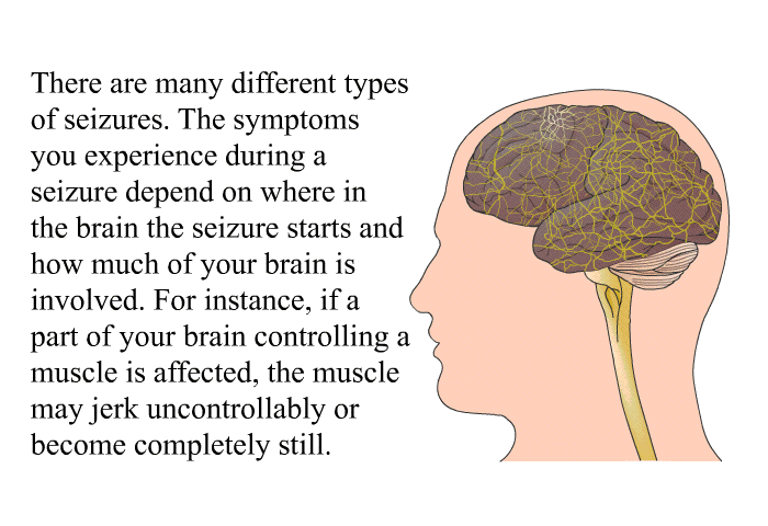 There are many different types of seizures. The symptoms you experience during a seizure depend on where in the brain the seizure starts and how much of your brain is involved. For instance, if a part of your brain controlling a muscle is affected, the muscle may jerk uncontrollably or become completely still.
