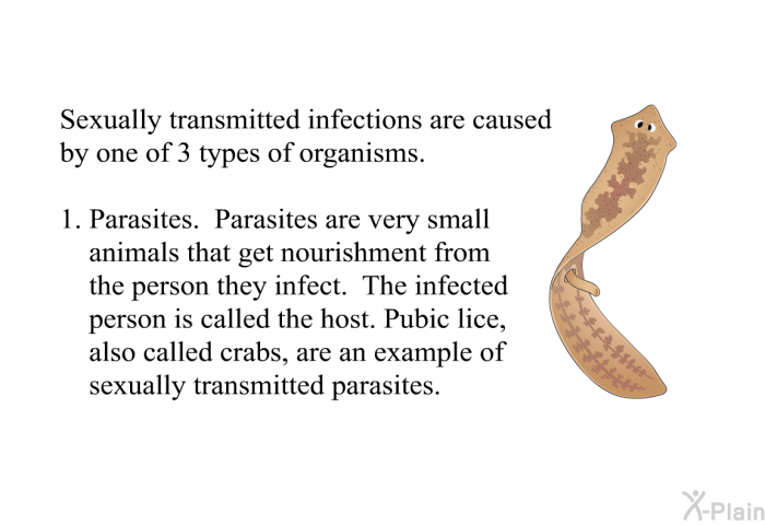 Sexually transmitted infections are caused by one of 3 types of organisms.  Parasites. Parasites are very small animals that get nourishment from the person they infect. The infected person is called the host. Pubic lice, also called crabs, are an example of sexually transmitted parasites.