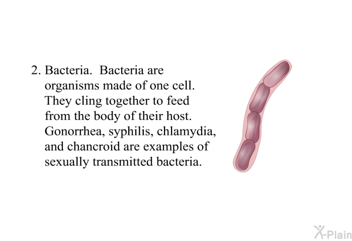 Bacteria. Bacteria are organisms made of one cell. They cling together to feed from the body of their host. Gonorrhea, syphilis, chlamydia, and chancroid are examples of sexually transmitted bacteria.