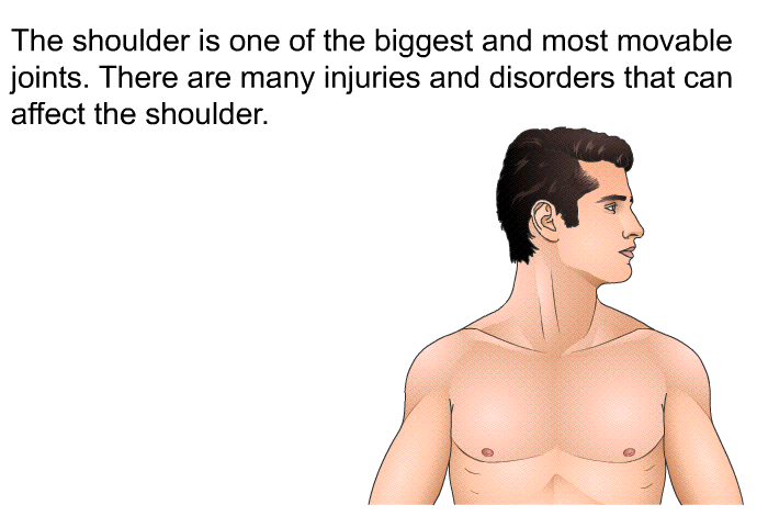 The shoulder is one of the biggest and most movable joints. There are many injuries and disorders that can affect the shoulder.