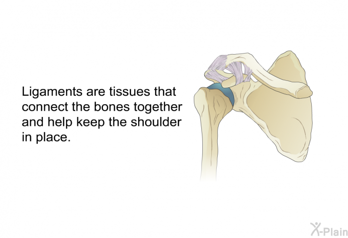 Ligaments are tissues that connect the bones together and help keep the shoulder in place.