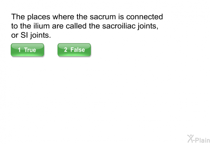 The places where the sacrum is connected to the ilium are called the sacroiliac joints, or SI joints.