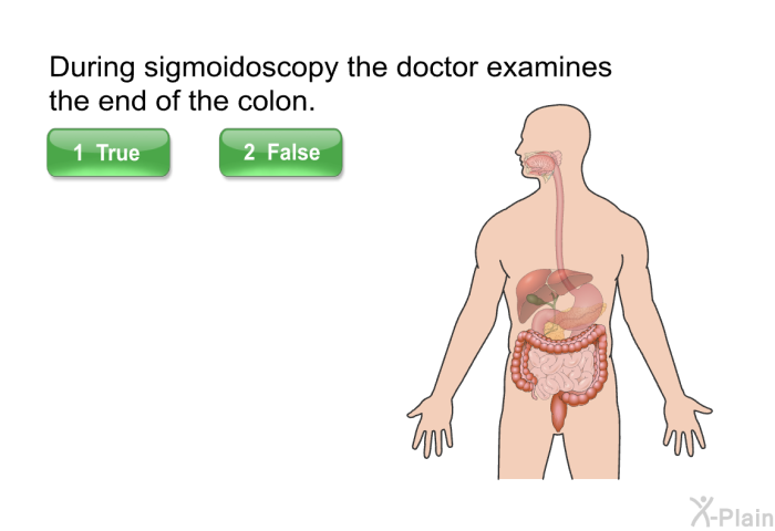 During sigmoidoscopy the doctor examines the end of the colon.