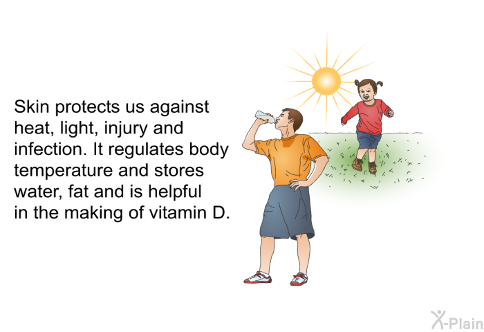 Skin protects us against heat, light, injury and infection. It regulates body temperature and stores water, fat and is helpful in the making of vitamin D.