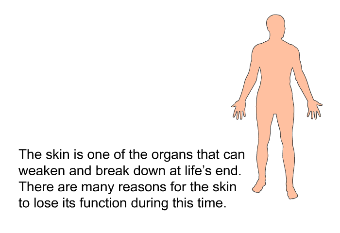 The skin is one of the organs that can weaken and break down at life's end. There are many reasons for the skin to lose its function during this time.