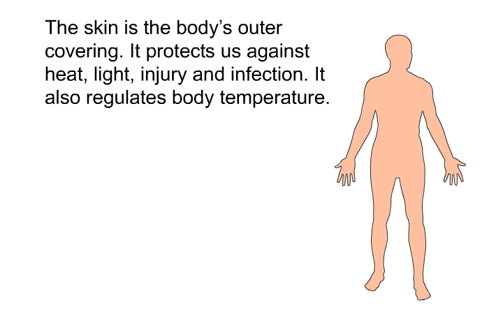 The skin is the body's outer covering. It protects us against heat, light, injury and infection. It also regulates body temperature.