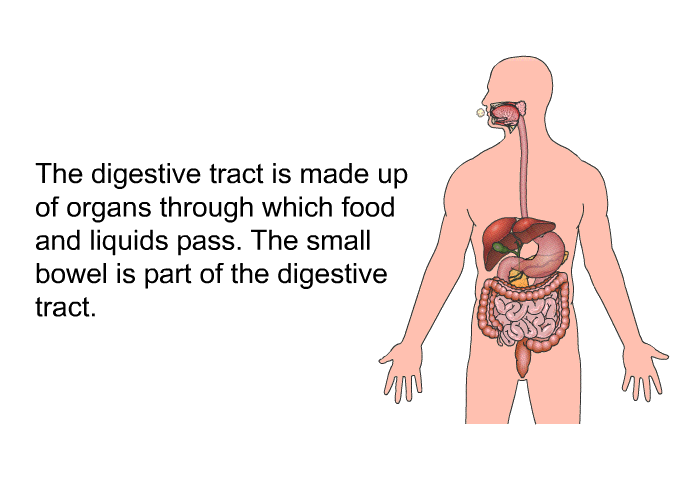 The digestive tract is made up of organs through which food and liquids pass. The small bowel is part of the digestive tract.