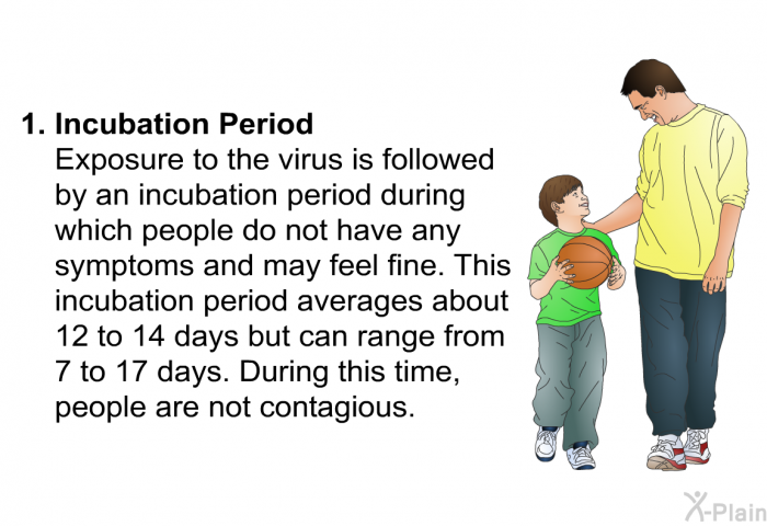 Incubation Period  
 Exposure to the virus is followed by an incubation period during which people do not have any symptoms and may feel fine. This incubation period averages about 12 to 14 days but can range from 7 to 17 days. During this time, people are not contagious.