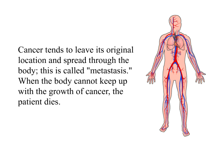 Cancer tends to leave its original location and spread through the body; this is called “metastasis.” When the body cannot keep up with the growth of cancer, the patient dies.