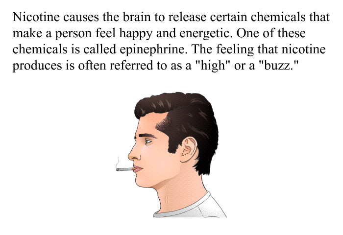 Nicotine causes the brain to release certain chemicals that make a person feel happy and energetic. One of these chemicals is called epinephrine. The feeling that nicotine produces is often referred to as a “high” or a “buzz.”
