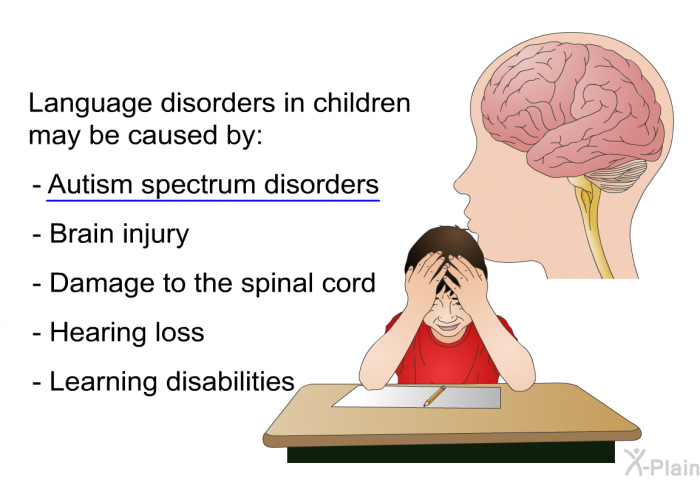 Language disorders in children may be caused by:  Autism spectrum disorders Brain injury Damage to the spinal cord Hearing loss Learning disabilities