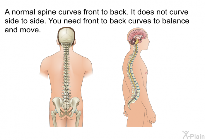 A normal spine curves front to back. It does not curve side to side. You need front to back curves to balance and move.