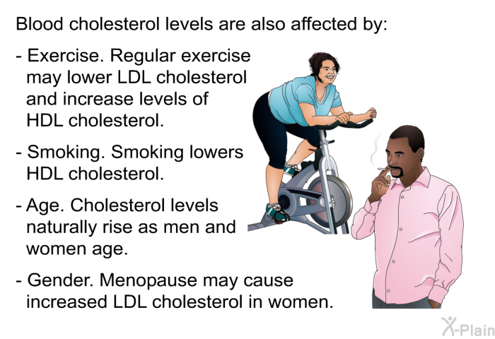 Blood cholesterol levels are also affected by:  Exercise. Regular exercise may lower LDL cholesterol and increase levels of HDL cholesterol. Smoking. Smoking lowers HDL cholesterol. Age. Cholesterol levels naturally rise as men and women age. Gender. Menopause may cause increased LDL cholesterol in women.