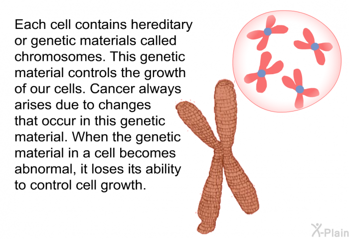 Each cell contains hereditary or genetic materials called chromosomes. This genetic material controls the growth of our cells. Cancer always arises due to changes that occur in this genetic material. When the genetic material in a cell becomes abnormal, it loses its ability to control cell growth.