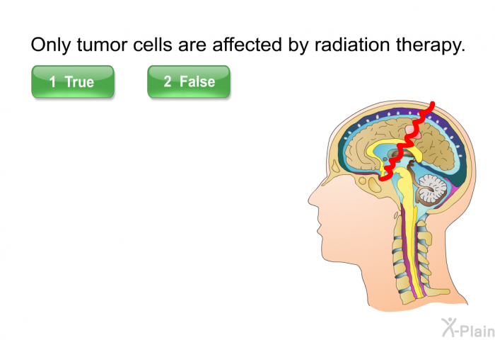 Only tumor cells are affected by radiation therapy. Press True or False