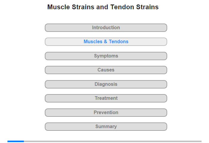 Muscles and Tendons