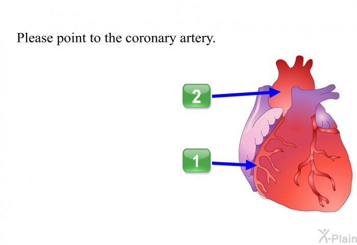 Please point to the coronary artery. (a=coronary artery/b=aorta; a)