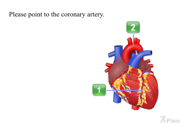 Please point to the coronary artery. (a=coronary artery/b=aorta; a)