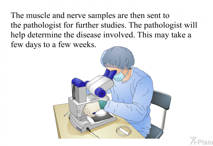 The muscle and nerve samples are then sent to the pathologist for further studies. The pathologist will help determine the disease involved. This may take a few days to a few weeks.