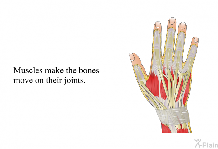 Muscles make the bones move on their joints.