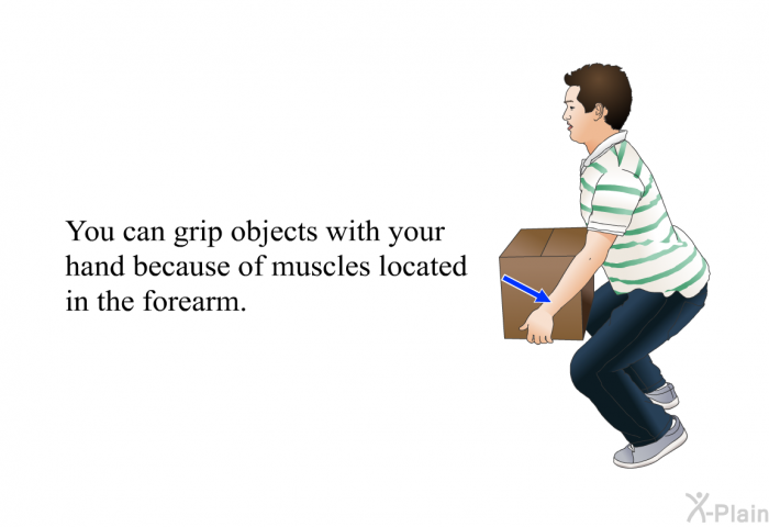 You can grip objects with your hand because of muscles located in the forearm.