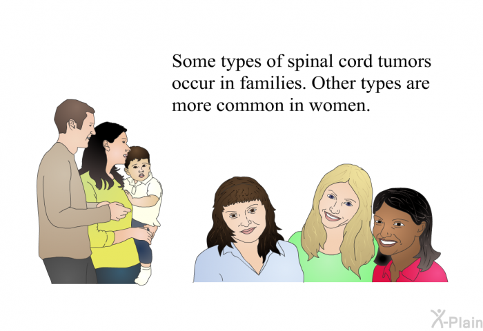 Some types of spinal cord tumors occur in families. Other types are more common in women.