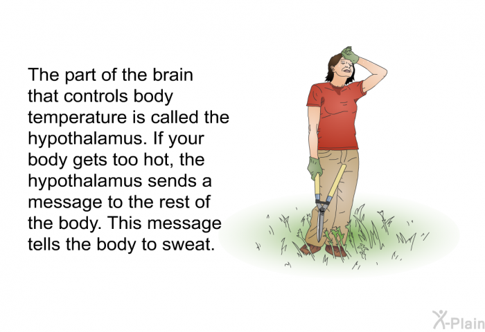 The part of the brain that controls body temperature is called the hypothalamus. If your body gets too hot, the hypothalamus sends a message to the rest of the body. This message tells the body to sweat.