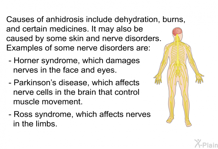Causes of anhidrosis include dehydration, burns, and certain medicines. It may also be caused by some skin and nerve disorders. Examples of some nerve disorders are:  Horner syndrome, which damages nerves in the face and eyes. Parkinson’s disease, which affects nerve cells in the brain that control muscle movement. Ross syndrome, which affects nerves in the limbs.