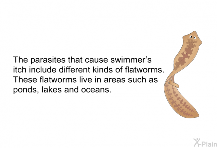 The parasites that cause swimmer's itch include different kinds of flatworms. These flatworms live in areas such as ponds, lakes and oceans.