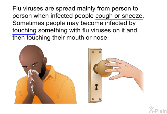 Flu viruses are spread mainly from person to person when infected people cough or sneeze. Sometimes people may become infected by touching something with flu viruses on it and then touching their mouth or nose.