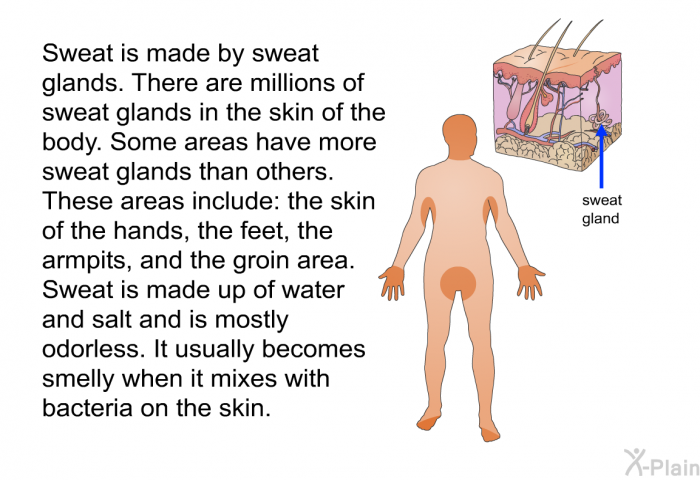 Sweat is made by sweat glands. There are millions of sweat glands in the skin of the body. Some areas have more sweat glands than others. These areas include: the skin of the hands, the feet, the armpits, and the groin area. Sweat is made up of water and salt and is mostly odorless. It usually becomes smelly when it mixes with bacteria on the skin