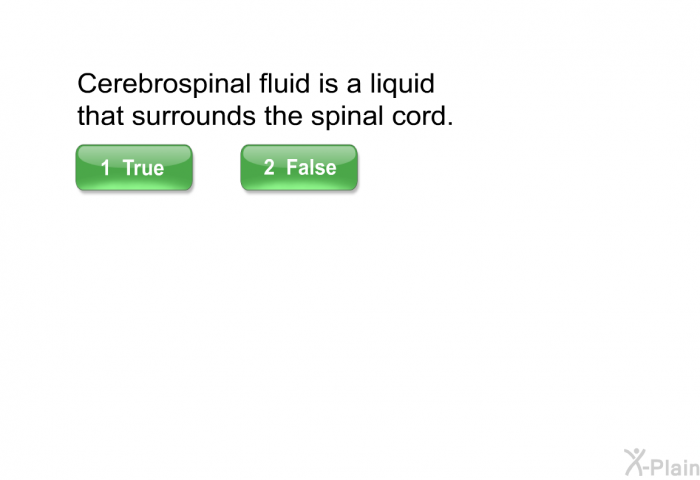 Cerebrospinal fluid is a liquid that surrounds the spinal cord.