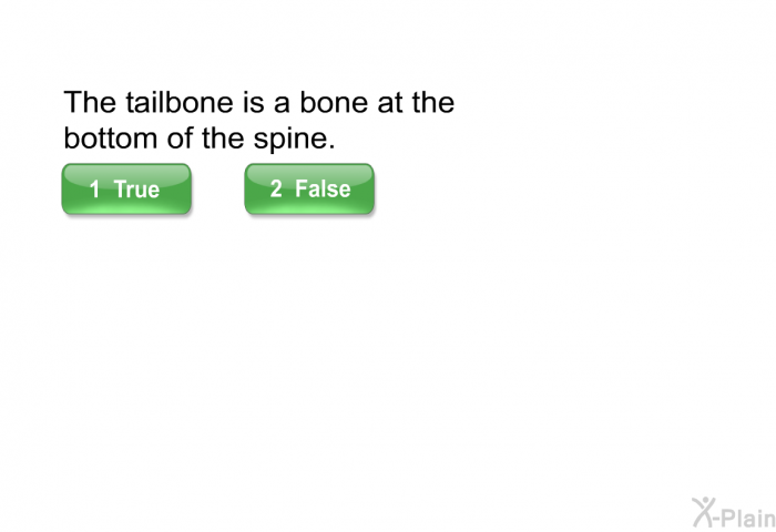 The tailbone is a bone at the bottom of the spine.