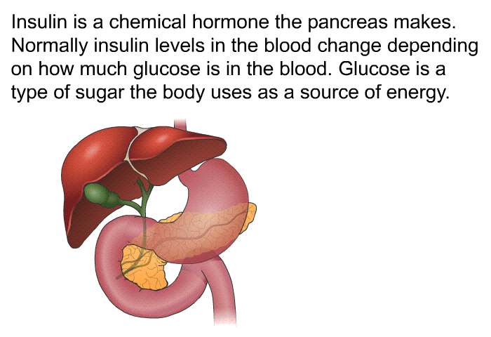 Insulin is a chemical hormone the pancreas makes. Normally insulin levels in the blood change depending on how much glucose is in the blood. Glucose is a type of sugar the body uses as a source of energy.