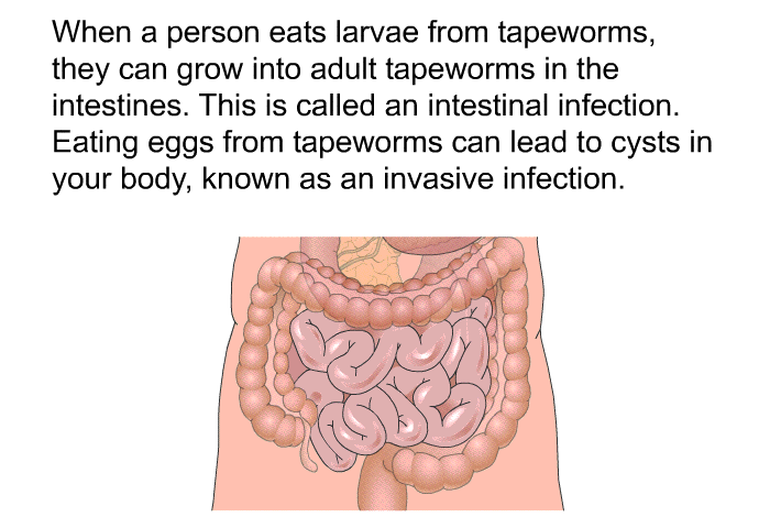 When a person eats larvae from tapeworms, they can grow into adult tapeworms in the intestines. This is called an intestinal infection. Eating eggs from tapeworms can lead to cysts in your body, known as an invasive infection.