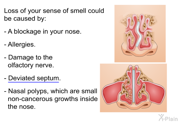 Loss of your sense of smell could be caused by:  A blockage in your nose. Allergies. Damage to the olfactory nerve. Deviated septum. Nasal polyps, which are small non-cancerous growths inside the nose.