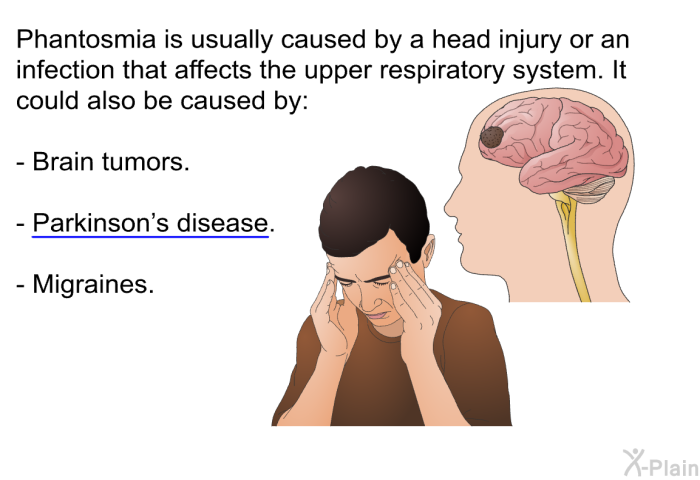 Phantosmia is usually caused by a head injury or an infection that affects the upper respiratory system. It could also be caused by:  Brain tumors. Parkinson's disease. Migraines.