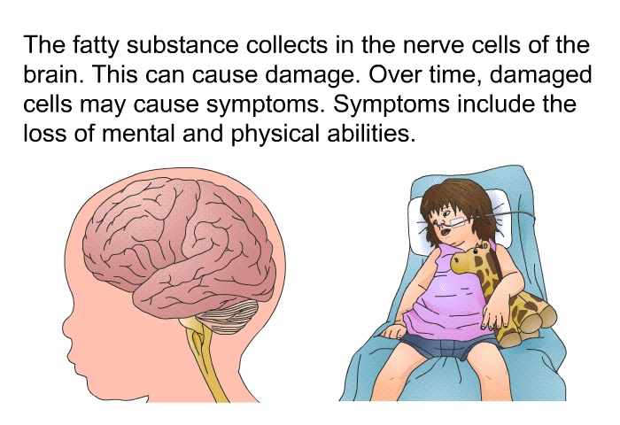 The fatty substance collects in the nerve cells of the brain. This can cause damage. Over time, damaged cells may cause symptoms. Symptoms include the loss of mental and physical abilities.