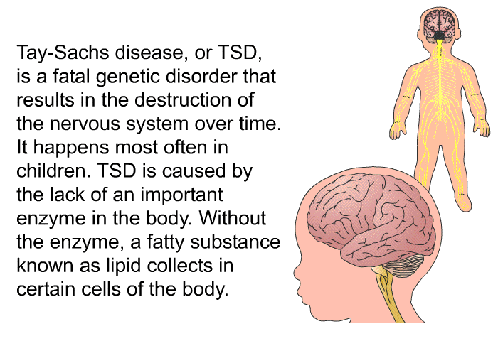 Tay-Sachs disease, or TSD, is a fatal genetic disorder that results in the destruction of the nervous system over time. It happens most often in children. TSD is caused by the lack of an important enzyme in the body. Without the enzyme, a fatty substance known as lipid collects in certain cells of the body.