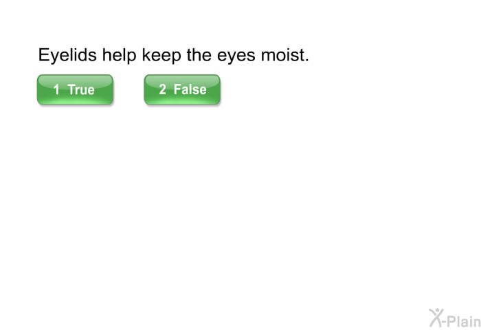Eyelids help keep the eyes moist.
